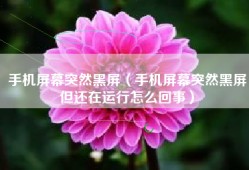 手机屏幕突然黑屏（手机屏幕突然黑屏但还在运行怎么回事）