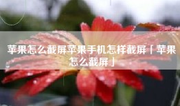 苹果怎么截屏苹果手机怎样截屏「苹果怎么截屏」