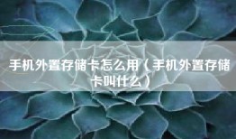 手机外置存储卡怎么用（手机外置存储卡叫什么）