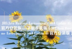 JRE(Java Runtime Environment)  v6.0 Update 45 官方安装版java下载手机版「JRE(Java Runtime Environment)  v6.0 Update 45 官方安装版」