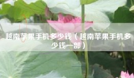 越南苹果手机多少钱（越南苹果手机多少钱一部）