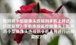 如何将小型摄像头连接到手机上并进行远程监控？手机连接监控摄像头「如何将小型摄像头连接到手机上并进行远程监控？」