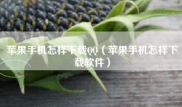 苹果手机怎样下载QQ（苹果手机怎样下载软件）