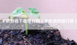 手机游戏下载排行榜（手机游戏排行榜）