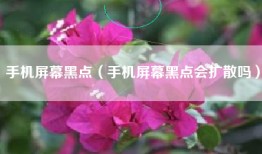 手机屏幕黑点（手机屏幕黑点会扩散吗）