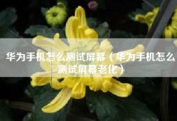 华为手机怎么测试屏幕（华为手机怎么测试屏幕老化）