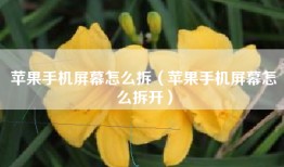 苹果手机屏幕怎么拆（苹果手机屏幕怎么拆开）