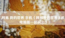 网易 我的世界 手机（网易我的世界手机电脑能一起玩么）