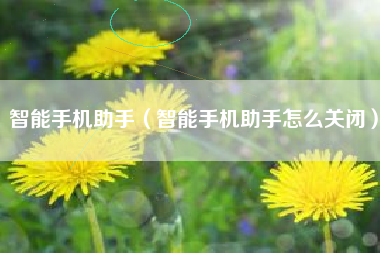 智能手机助手（智能手机助手怎么关闭）