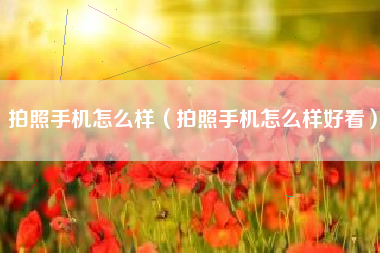 拍照手机怎么样（拍照手机怎么样好看）