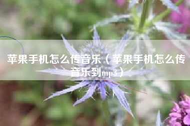 苹果手机怎么传音乐（苹果手机怎么传音乐到mp3）