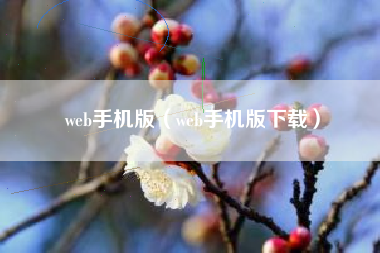 web手机版（web手机版下载）