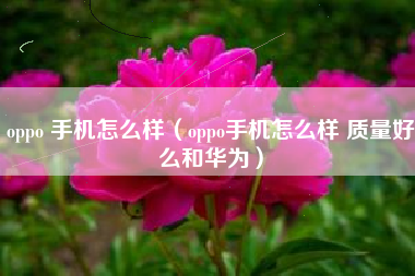 oppo 手机怎么样（oppo手机怎么样 质量好么和华为）