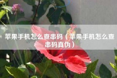 苹果手机怎么查串码（苹果手机怎么查串码真伪）